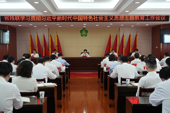 图为湖北省残联学习贯彻习近平新时代中国特色社会主义思想主题教育工作会议现场